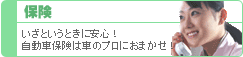 保険：いざというときに安心！自動車保険はプロにおまかせ！